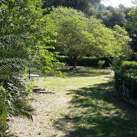 Le Clos Du Loup La Colle-sur-Loup Buitenkant foto