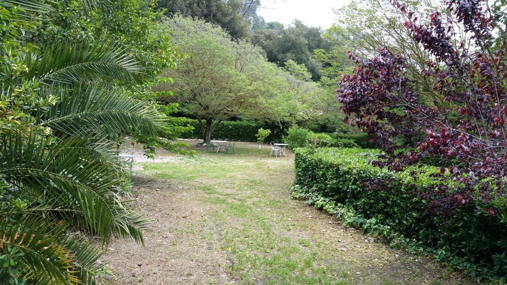 Le Clos Du Loup La Colle-sur-Loup Buitenkant foto