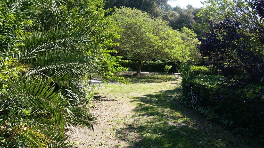 Le Clos Du Loup La Colle-sur-Loup Buitenkant foto