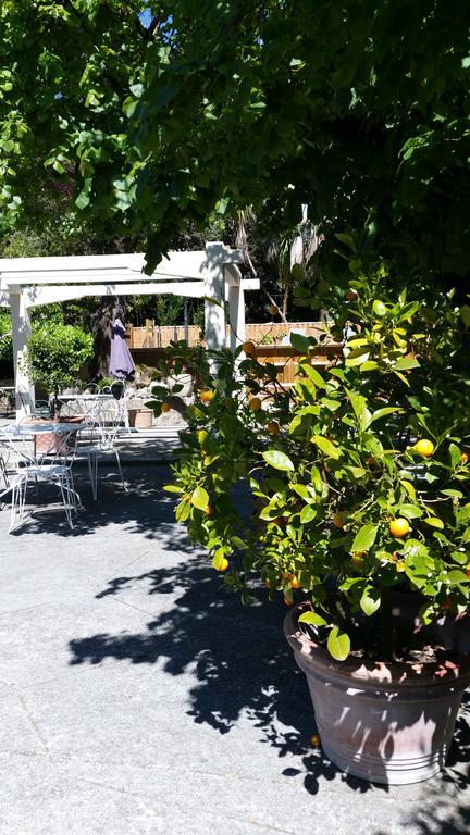 Le Clos Du Loup La Colle-sur-Loup Buitenkant foto