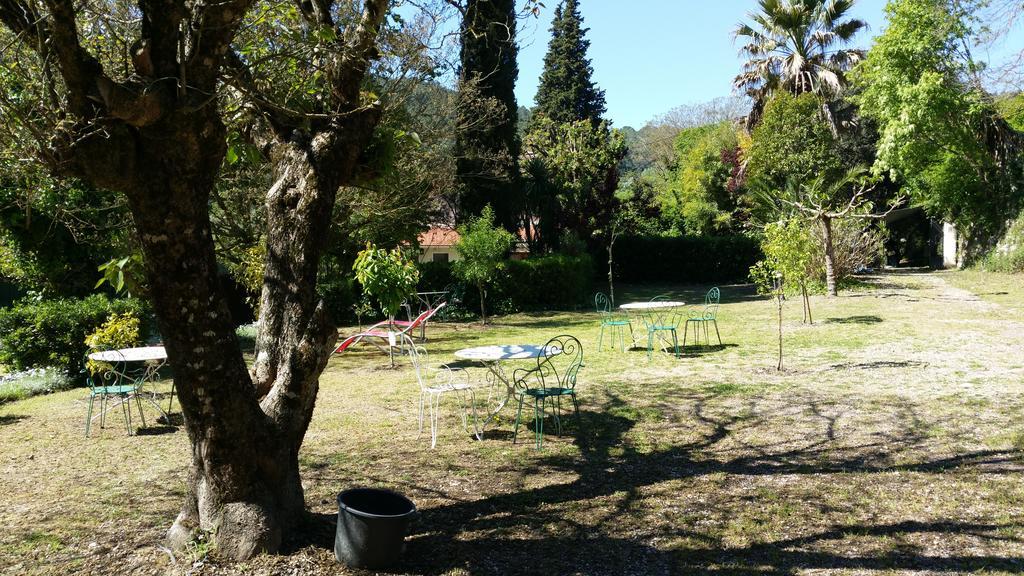 Le Clos Du Loup La Colle-sur-Loup Buitenkant foto